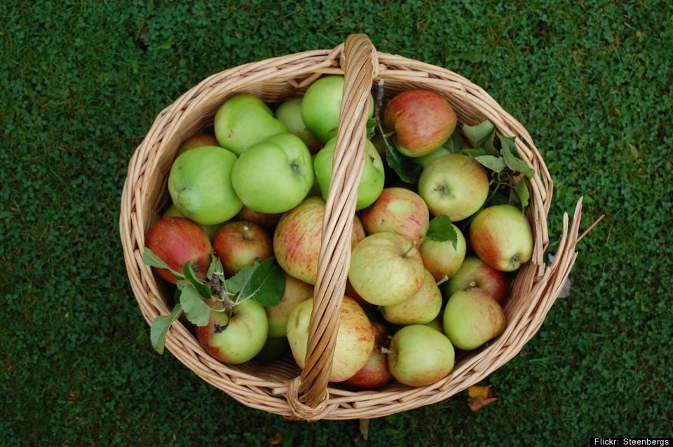 りんごはコレステロールを低減してくれる