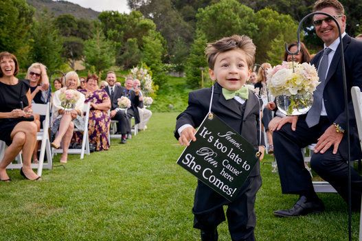 This ring bearer who clearly loves his job