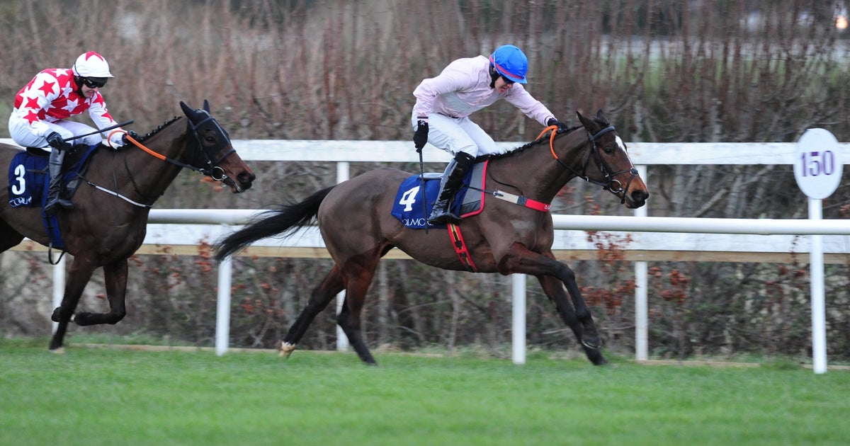 Equine Influenza Horse Racing Cancelled Across Britain Due To Flu