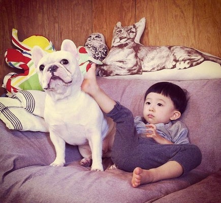 ダウン症の男の子を優しく励まし続ける犬 動画 ハフポスト News