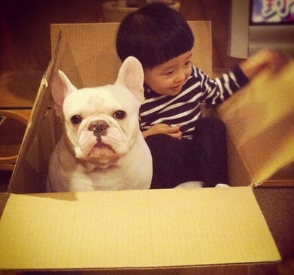 ダウン症の男の子を優しく励まし続ける犬 動画 ハフポスト News