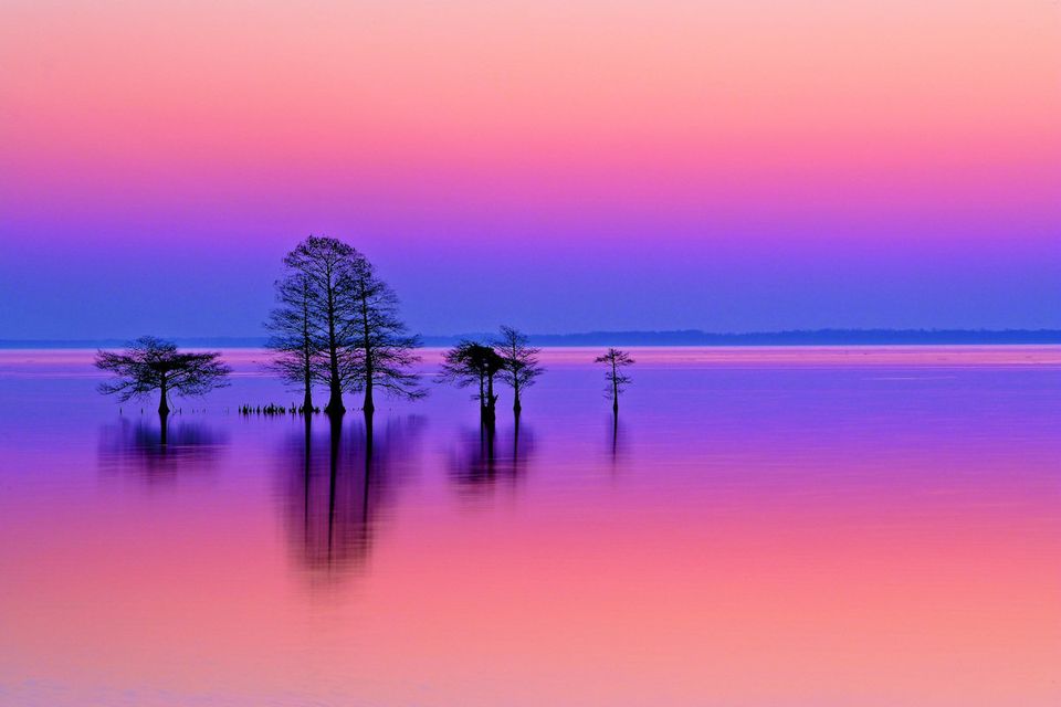 Mattamuskeet National Wildlife Refuge, North Carolina