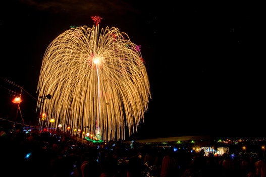 この花火がすごい14 夜空にきらめくフェニックス 長岡まつり大花火大会 画像集 ハフポスト News