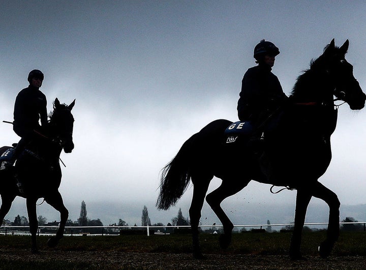 Anti-horse racing campaigners have criticised the equine flu ban as ‘contradictory’.