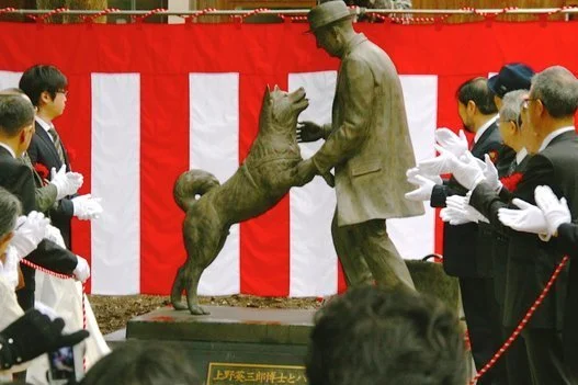 ハチ公、やっと会えたね！」新銅像が完成 90年ぶりに飼い主を出迎える