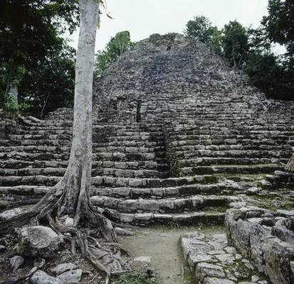 マヤ文明の隠された都市 カナダの高校生が発見したかと思われたが Update ハフポスト News