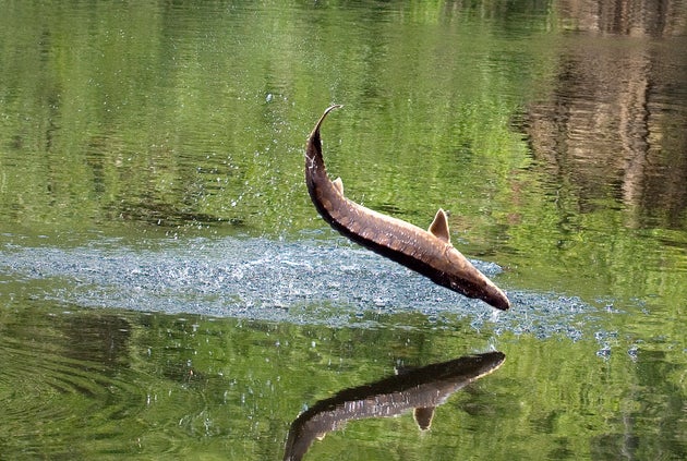 ÎÏαγε, αναγνÏÏίζει Îνα ÏάÏι Ïον εαÏ
ÏÏ ÏοÏ
ÏÏον