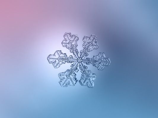 雪の結晶は35種類に分類される コンピュータに応用する研究も 画像 ハフポスト News