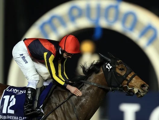 有馬記念を制したジェンティルドンナ、有終の美を飾る【画像