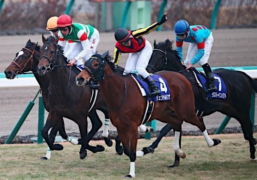 有馬記念を制したジェンティルドンナ 有終の美を飾る 画像 ハフポスト
