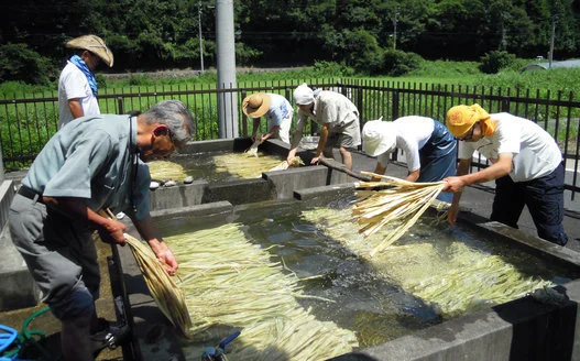 子どもの本-商品詳細｜新日本出版社