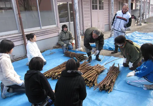 和紙が無形文化遺産に 登録された3つの和紙は他と何が違う 