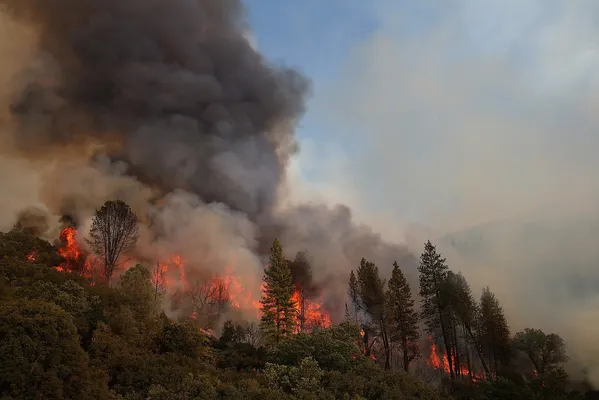 ヨセミテ国立公園近くで大規模な山火事 鎮火のめど立たず サンフランシスコに非常事態宣言 ハフポスト News