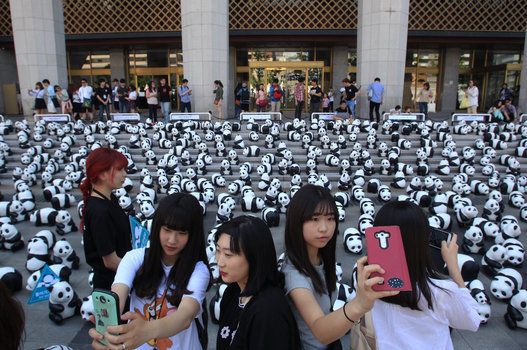 1600 Pandas Arrive In South Korea