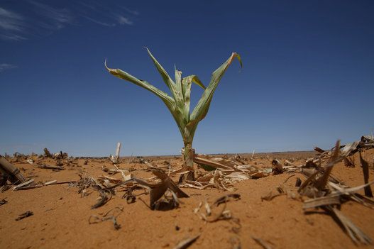 AFRICA-DROUGHT/