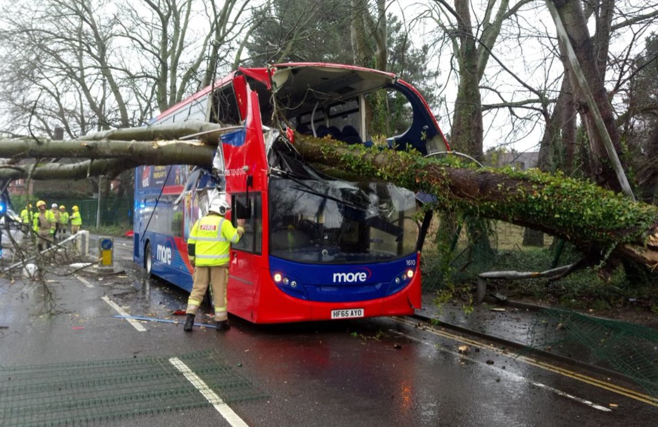 The massive tree struck the bus on Ringwood Road in Poole, police said.