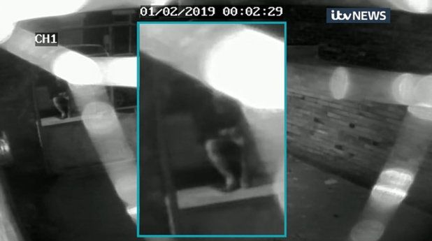 Libby Squire Cctv Emerges Of Car Minutes After Last Sighting Of Missing Hull Student Huffpost Uk