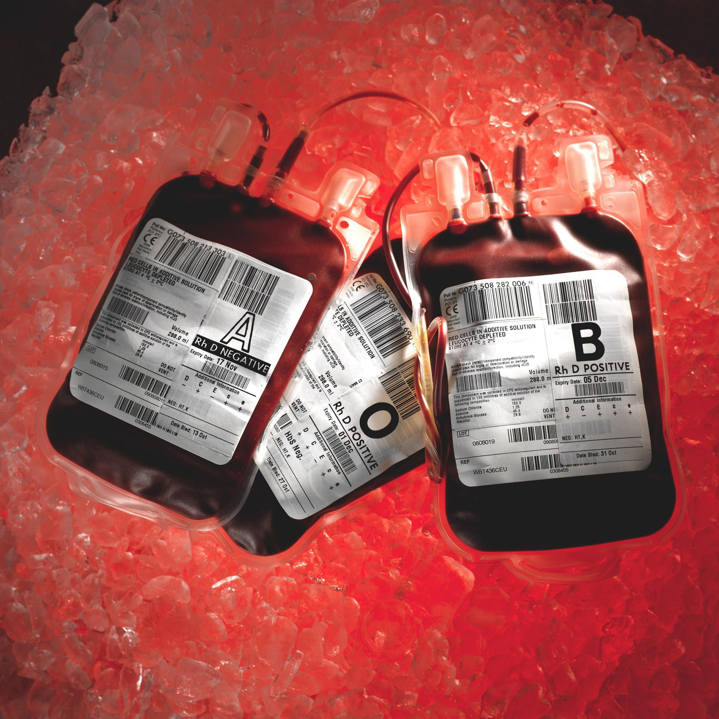 Hundreds Of Government Files On The Contaminated Blood Scandal Went   5c6141f12600004602fd0658 