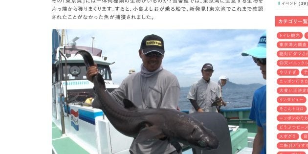 珍魚 ヒメコトヒキ 東京湾で初発見 テレ東の特番 お魚ぜんぶ獲ってみた ハフポスト