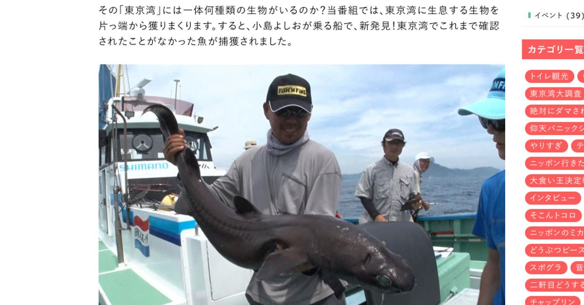 珍魚 ヒメコトヒキ 東京湾で初発見 テレ東の特番 お魚ぜんぶ獲ってみた ハフポスト