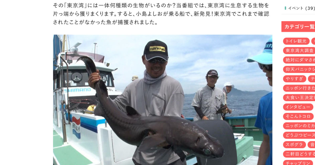 珍魚 ヒメコトヒキ 東京湾で初発見 テレ東の特番 お魚ぜんぶ獲ってみた ハフポスト 特集