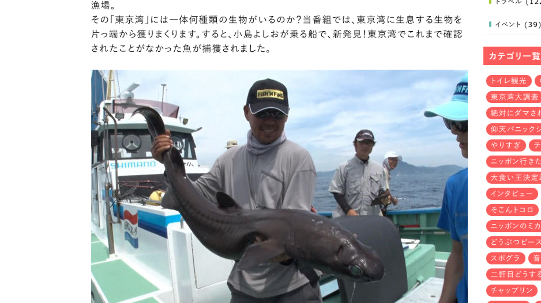 珍魚 ヒメコトヒキ 東京湾で初発見 テレ東の特番 お魚ぜんぶ獲ってみた ハフポスト 特集