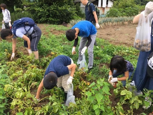 仲良しの里親家族と一緒に芋掘り