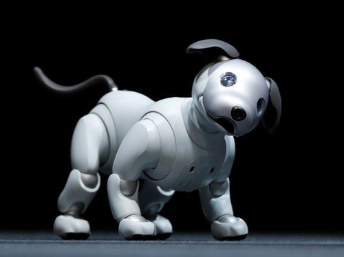 Dogness ペットボー（ペットのアイボ）白 aibo（アイボ） - ロボスタ Dogness ペットボー（ペットのアイボ）白