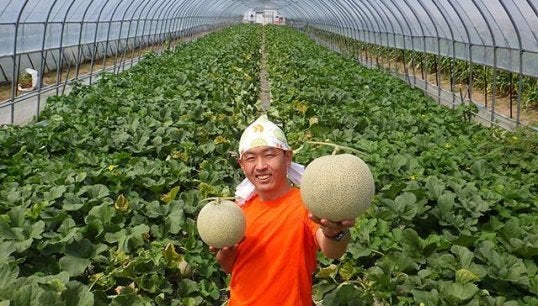 寺坂農園の代表、寺坂祐一さん