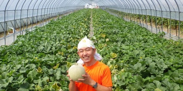 メロン6600玉が全滅した農家に クラウドファンディングで1600万円が集まった 世界がガラッと変わった ハフポスト