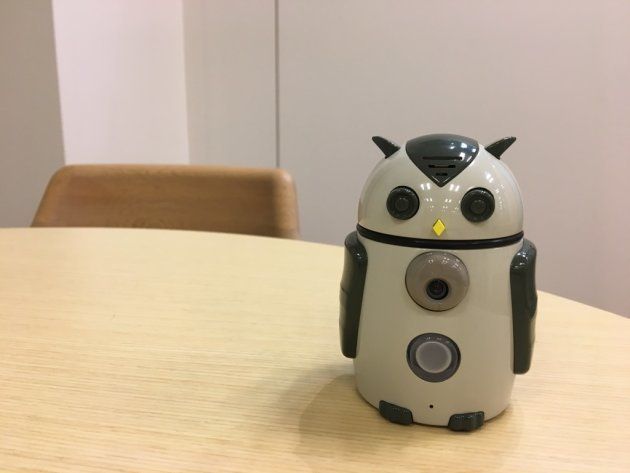 ハタプロが今春発売予定の商用向け小型ロボットZUKKU。今年中には家庭用も発売予定だ