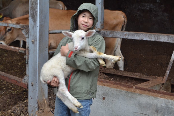 生まれて間もない子ヤギを抱く鷹之介君＝八王子市の磯沼ミルクファームで