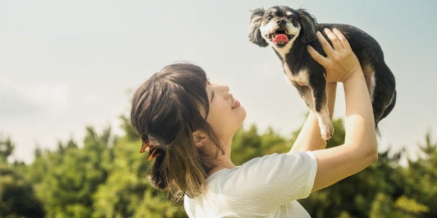 今 ペットビジネス市場があつい ペット保険や飼い主とのマッチングサービスが登場 ハフポスト