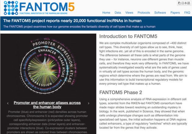 図1：FANTOM5のホームページ