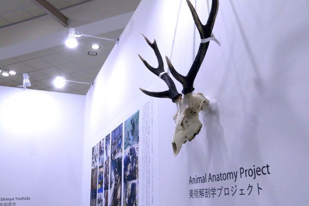 秋田公立美術大学のブース