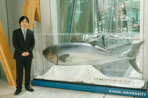 構内に展示されている、養殖クロマグロの原寸大レプリカ。