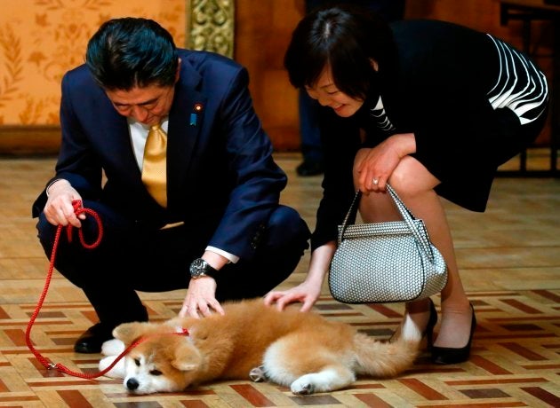 ザギトワさんちの子になります 秋田犬マサルが週刊朝日の表紙に ハフポスト