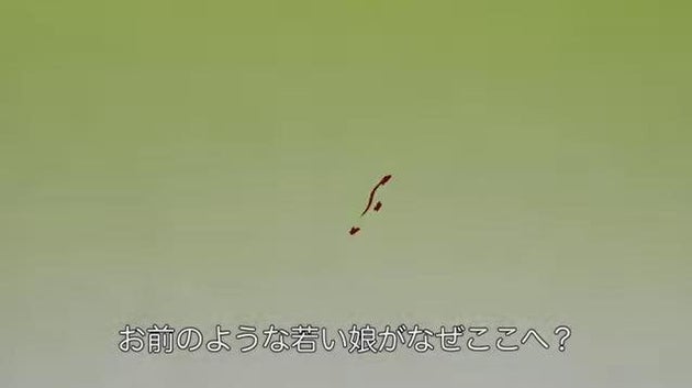 独自手法で一人で長編アニメを製作 大人のためのグリム童話 手をなくした少女 監督に訊く ハフポスト