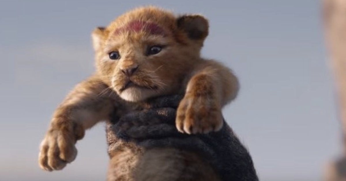 ハクナマタタ ライオン キング イノシシ 312253