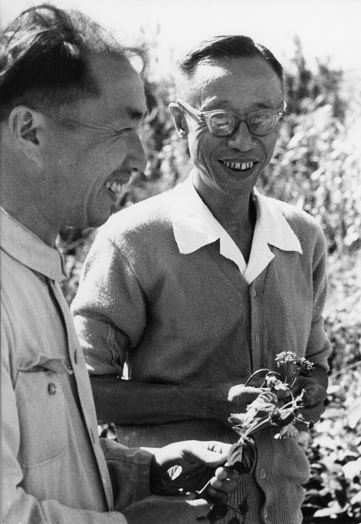 1961年、北京の植物園で勤務する溥儀。