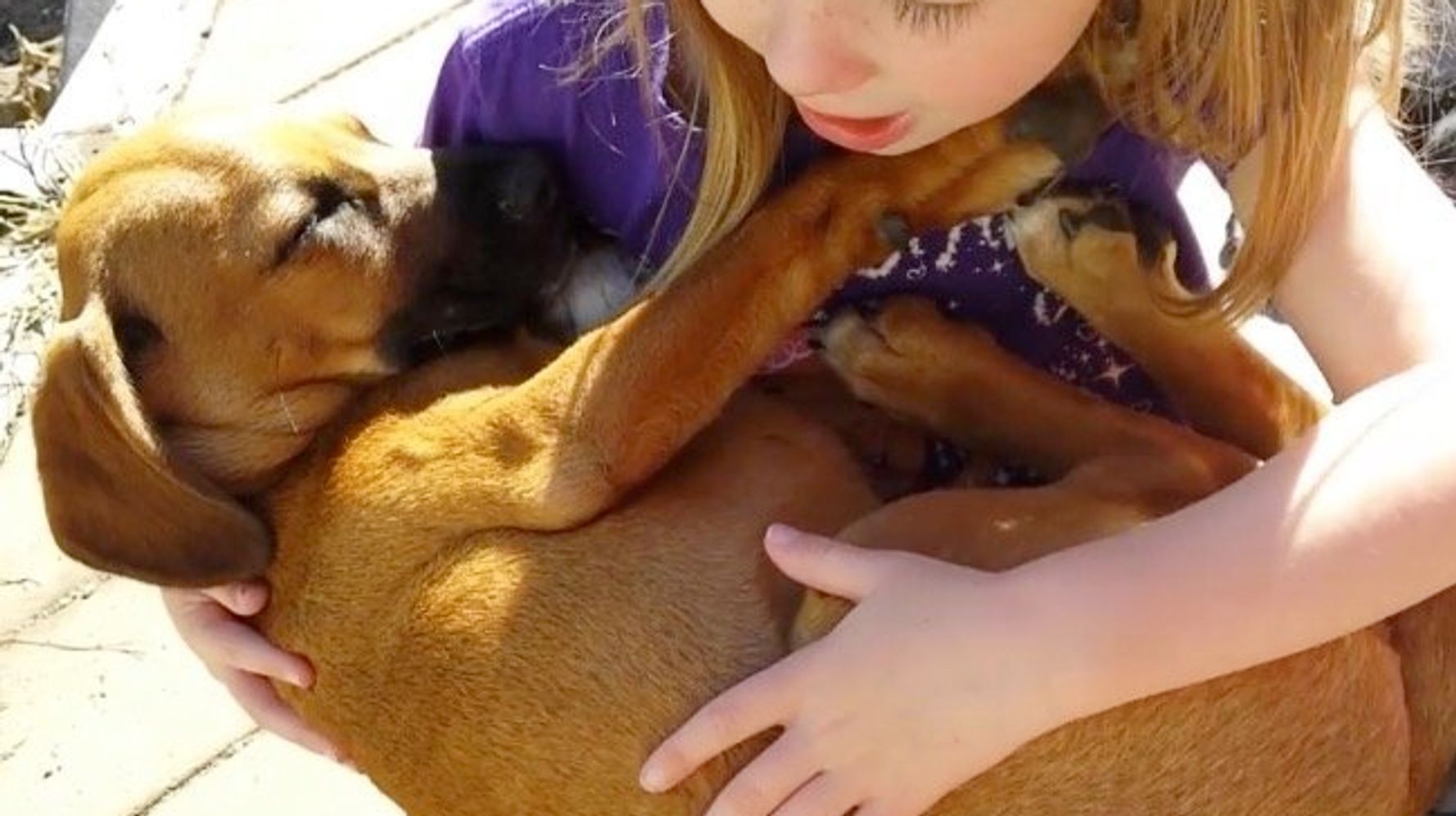 引き取った子犬に 優しく子守唄を歌う少女 とっても癒される 動画 ハフポスト