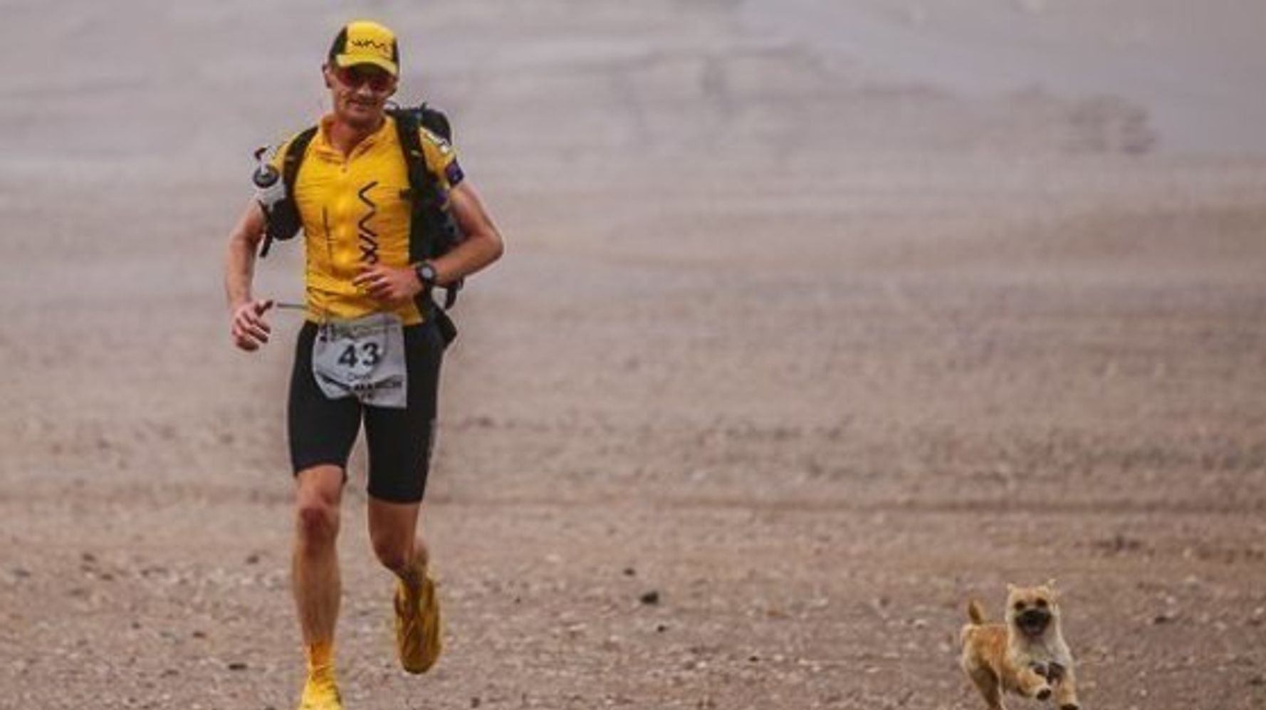 ゴビ砂漠マラソンで 1匹の犬はランナーを追って走った 本当にあった運命の出会い ハフポスト Life