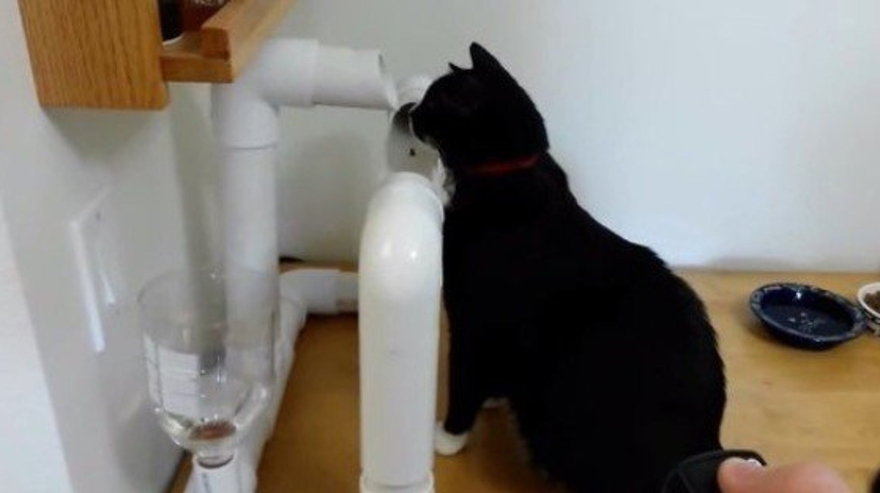 猫専用電動循環水飲み機 塩ビパイプで華麗に自作 ハフポスト Life 猫専用電動循環水飲み機 塩ビパイプで華麗に自作 ハフポスト Life