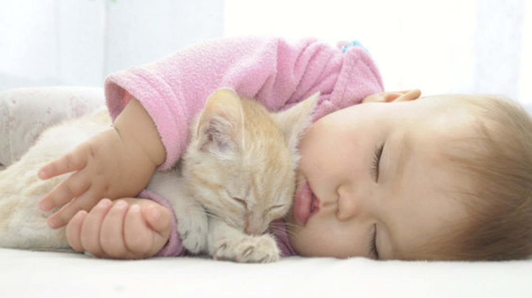 幸せな気持ちになる画像集 子供と動物が 一緒にお昼寝したら 画像集 ハフポスト Life