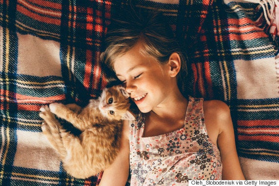 幸せな気持ちになる画像集 子供と動物が 一緒にお昼寝したら 画像集 ハフポスト Life