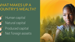 世界の富は増加、しかし格差は依然存在：