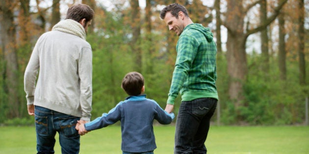 Rear view of a boy walking with two men in a park