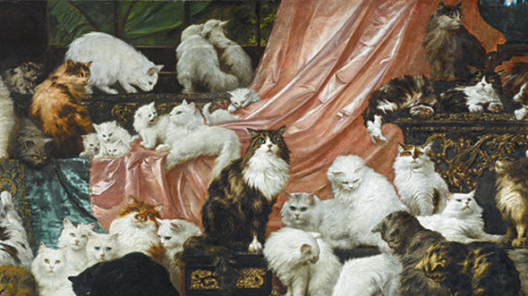 5c632ca42400007002a1e63b.jpeg?