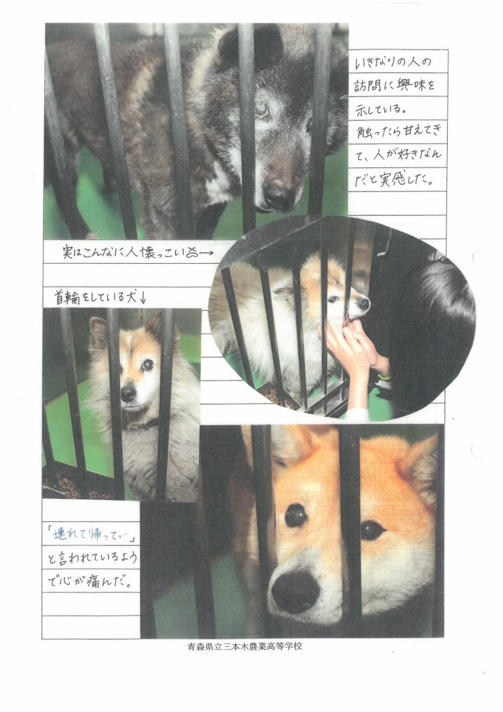 ごめんねと謝りながら 骨を砕く 女子高生が 殺処分された犬のいのちをつなぐプロジェクト ハフポスト Life