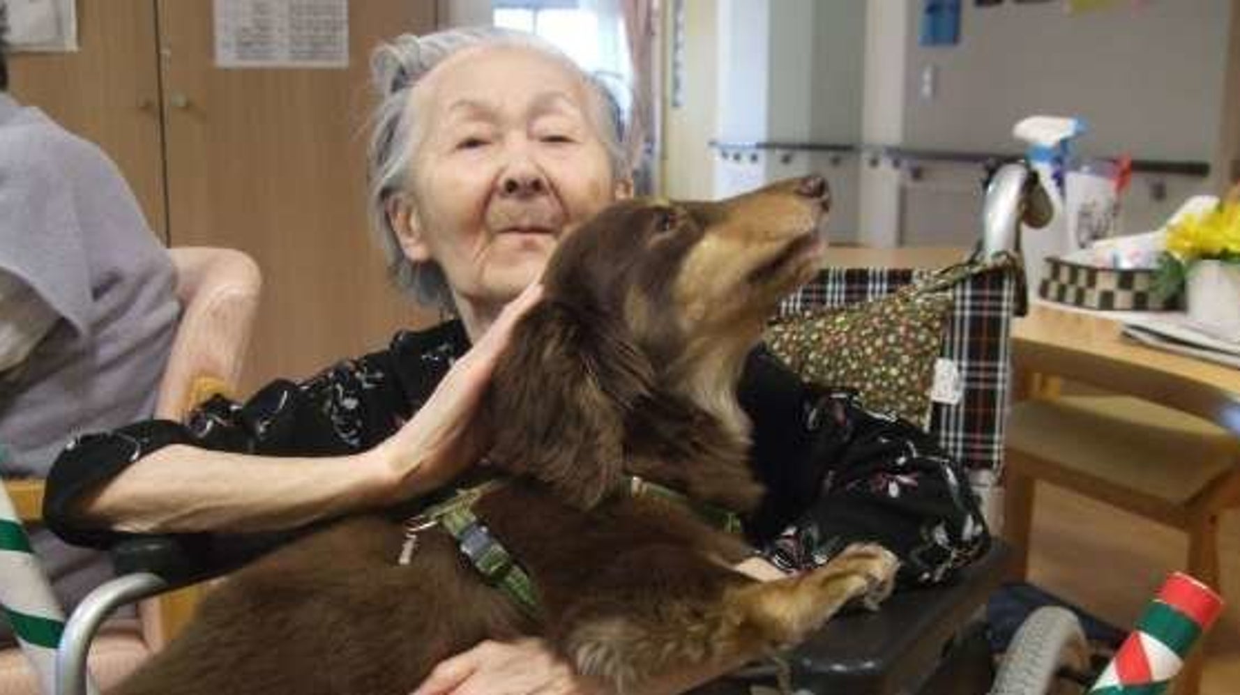 ペットと入居できる 特別養護老人ホーム 飼い主が亡くなっても一生面倒をみます ハフポスト Life